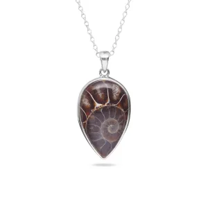Ammonite Necklace