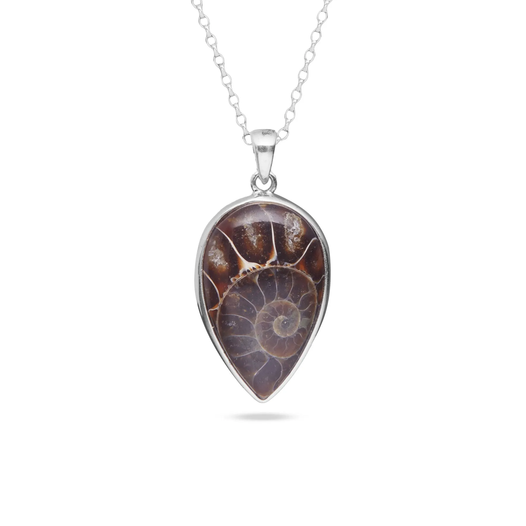 Ammonite Necklace