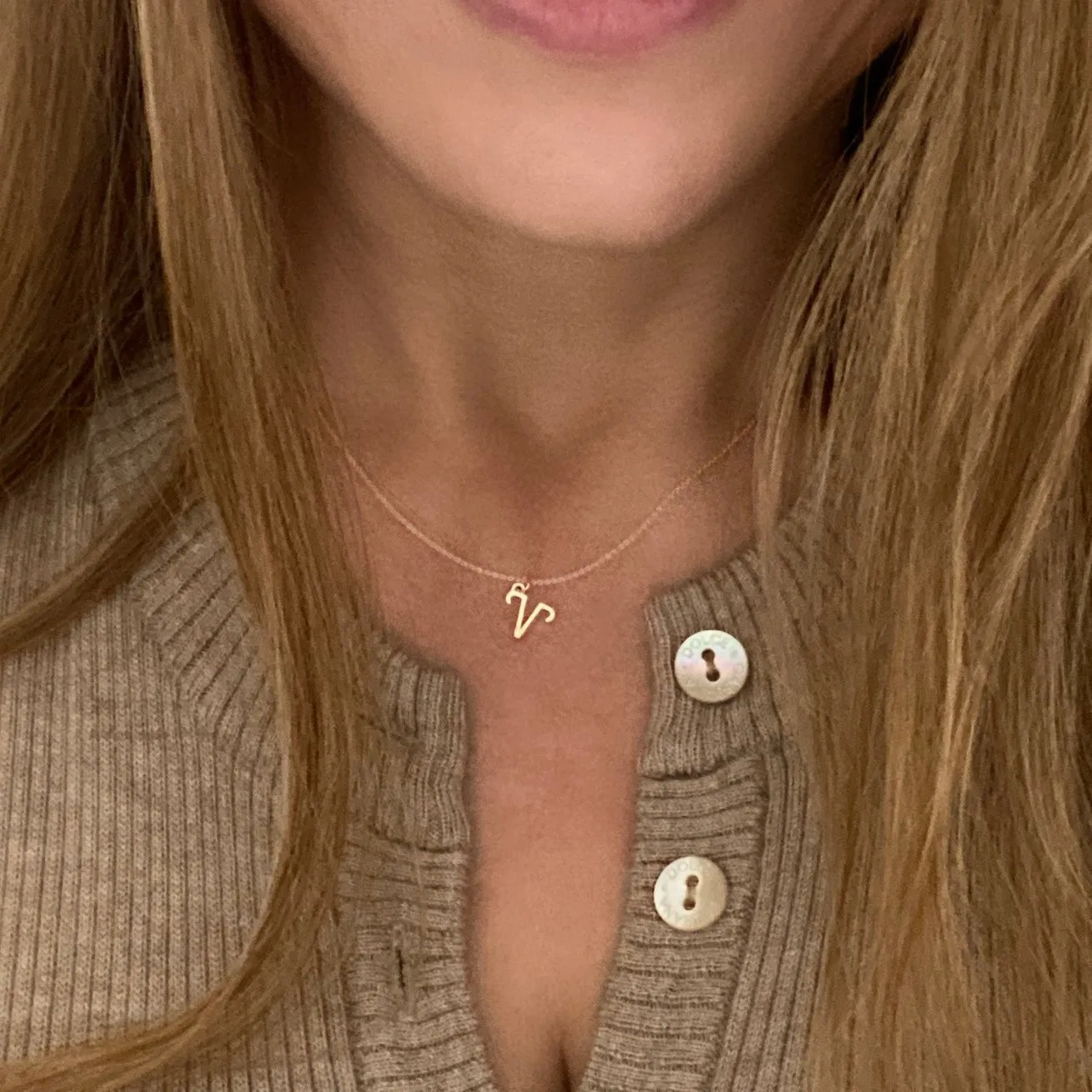 Aries Sign Zodiac Necklace in 14k Gold