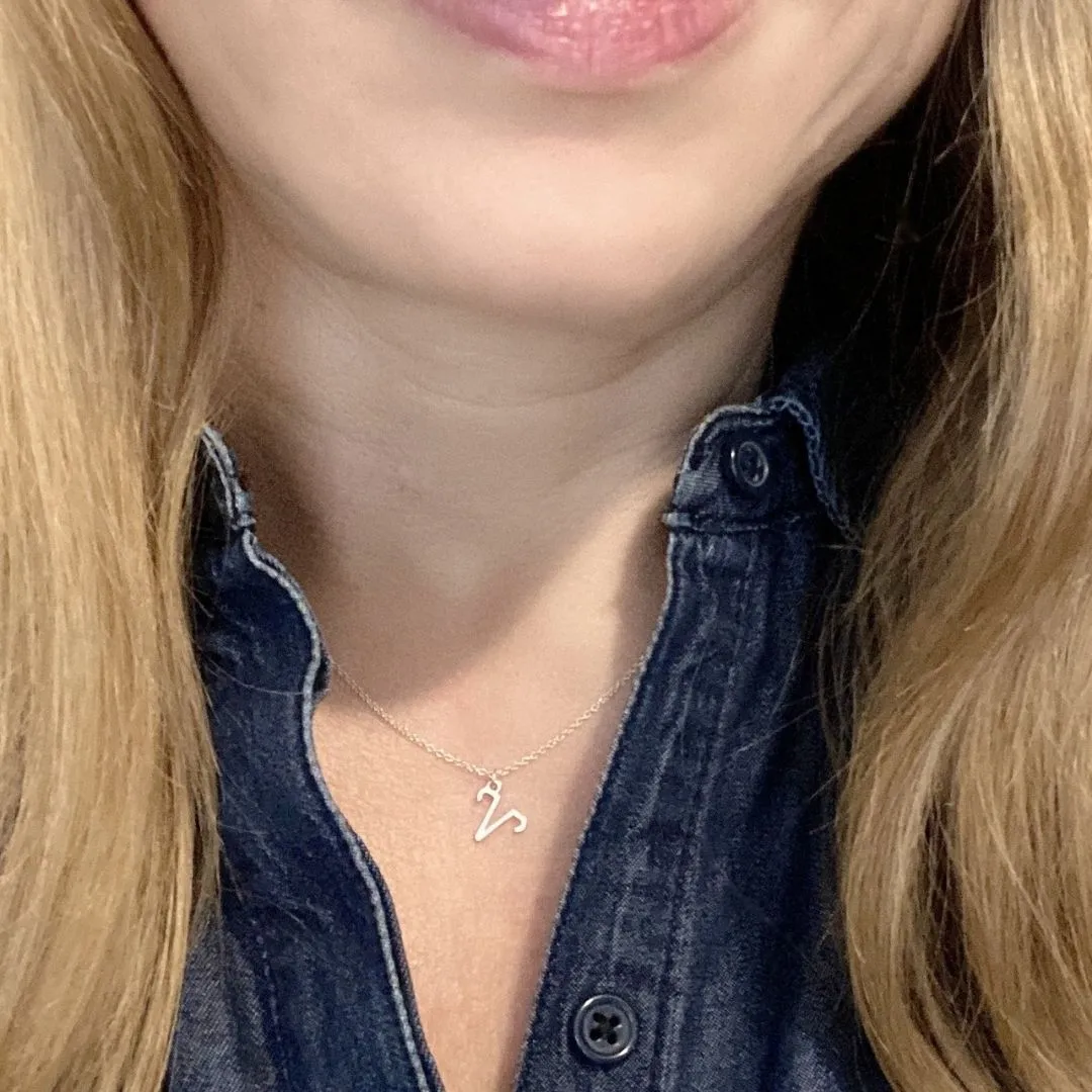 Aries Sign Zodiac Necklace in Sterling Silver
