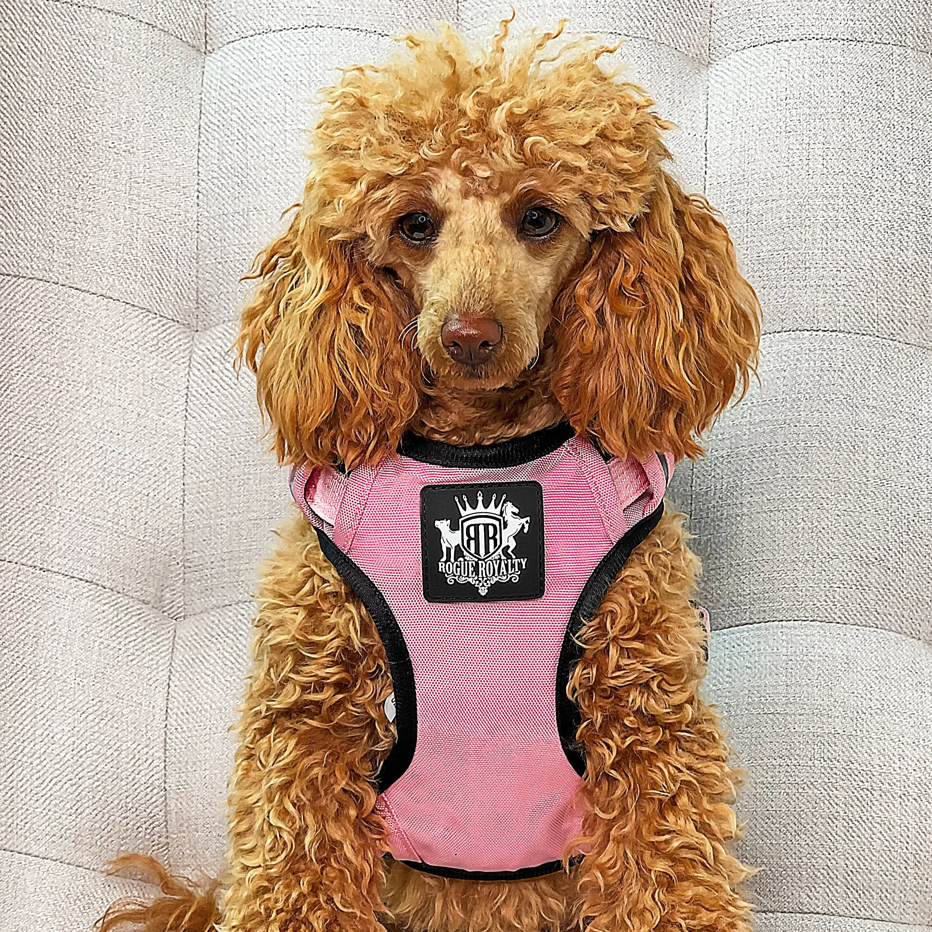 Dog Harness - Active X Pink