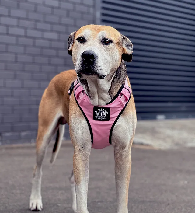 Dog Harness - Active X Pink