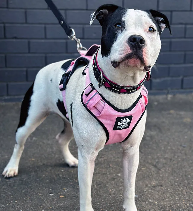 Dog Harness - Active X Pink