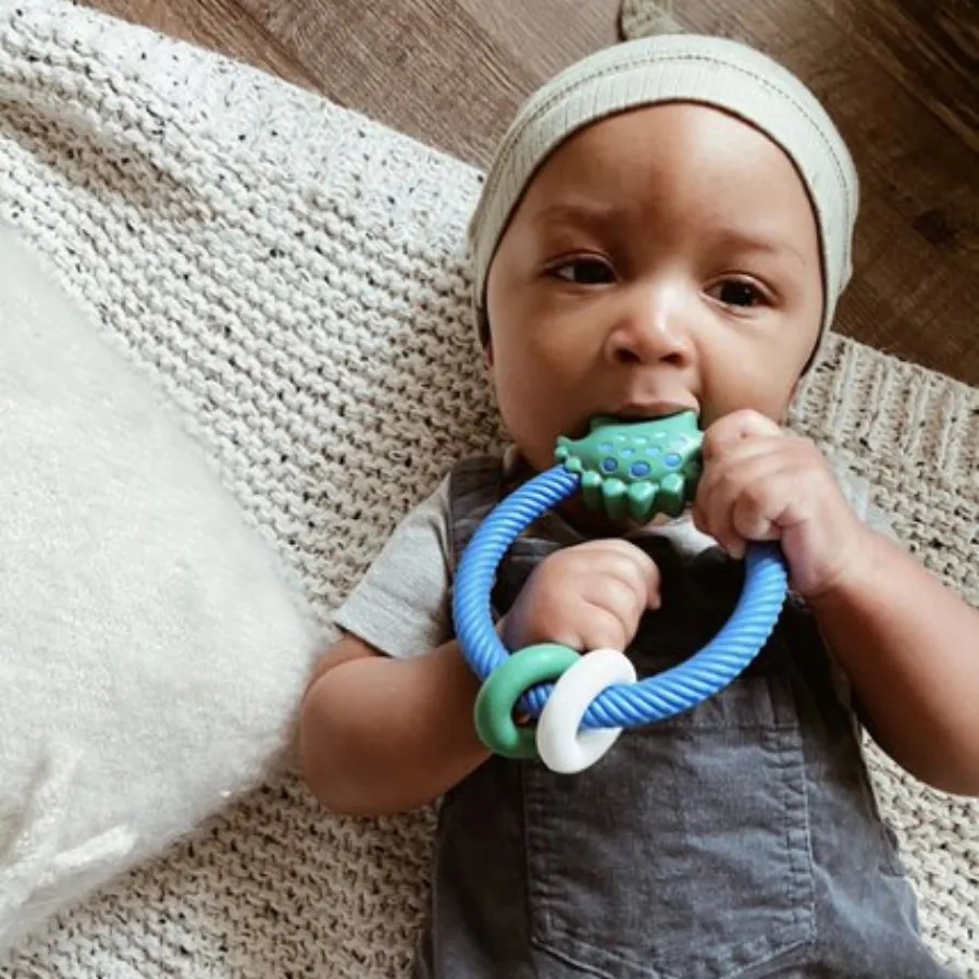 Itzy Ritzy Rattle Teether - Dino