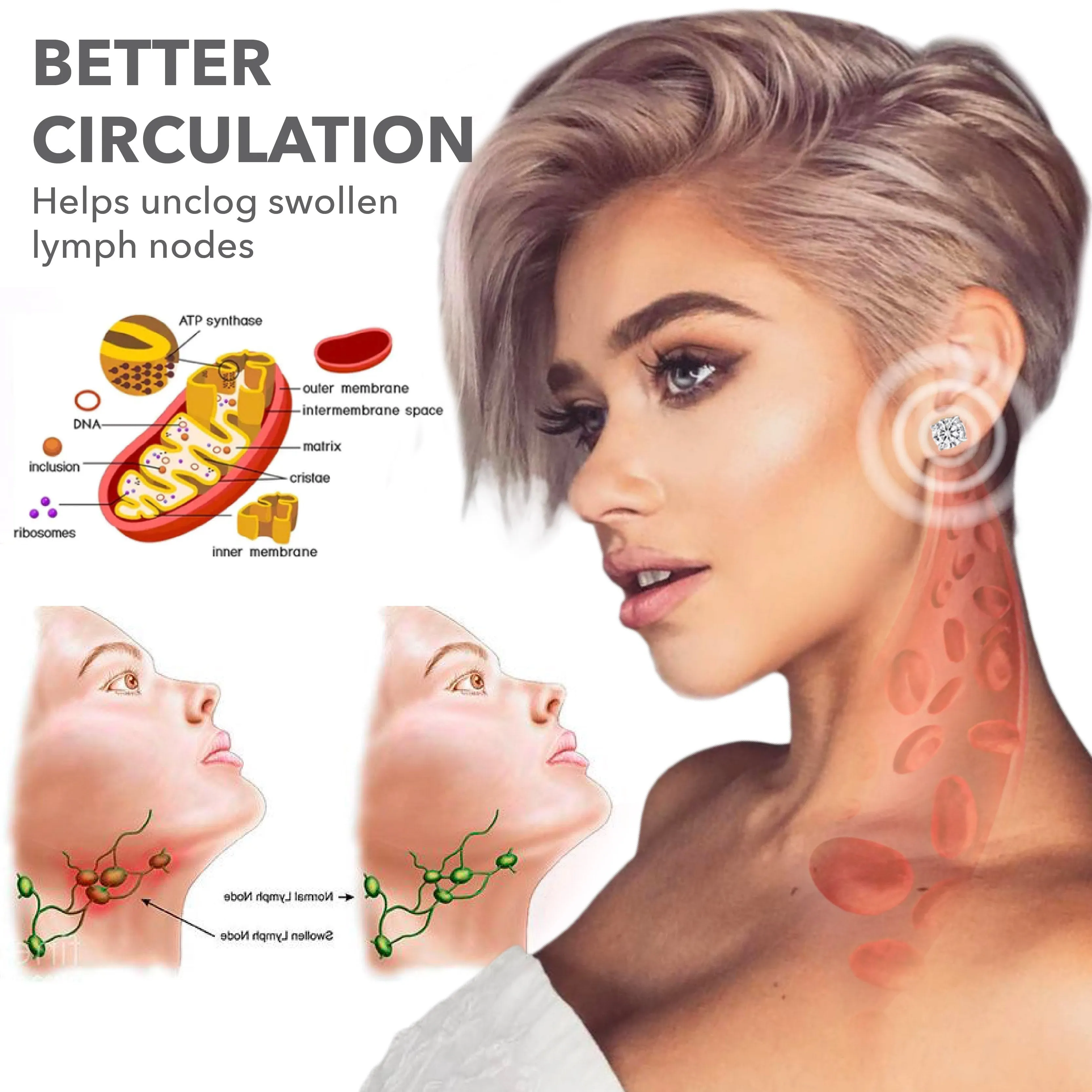 🎁Murray Luxury Magnetisch Lymphvity Earrings