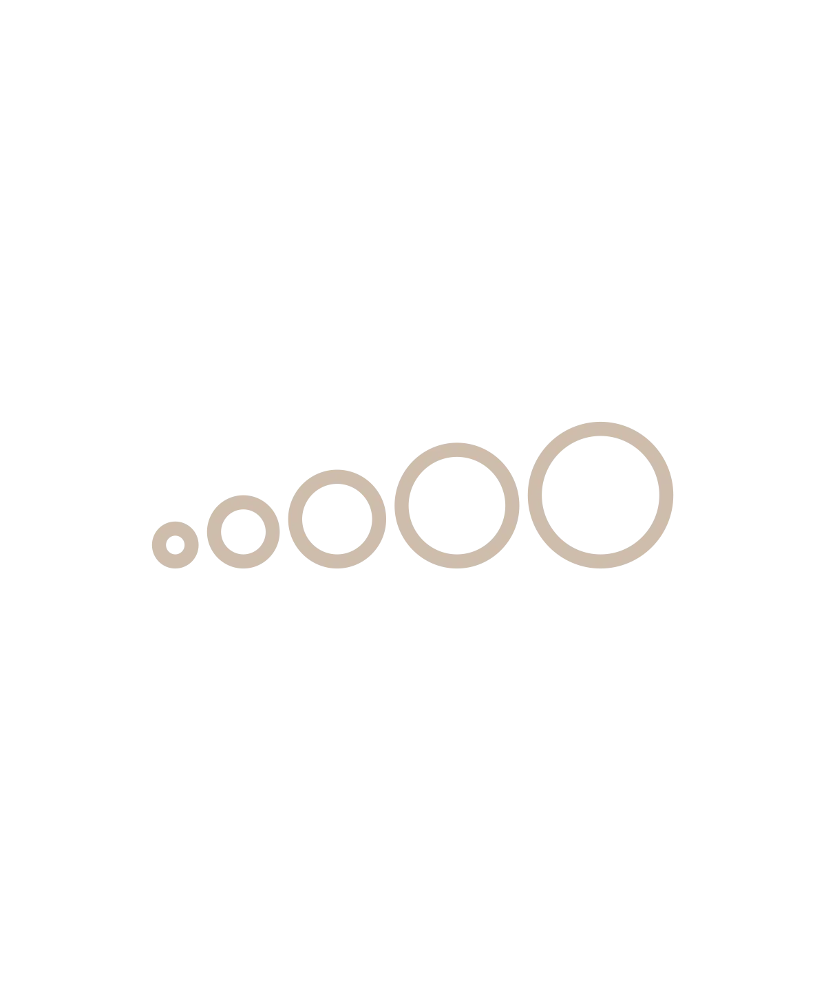 O-Ring