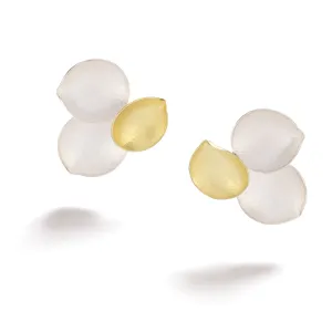 Tear Drop Combination Earrings